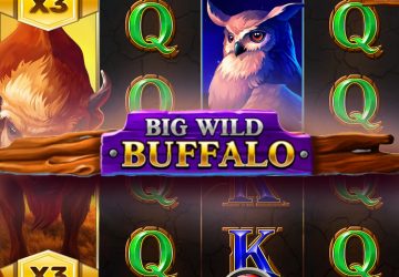Игровой автомат Big Wild Buffalo в Zooma казино